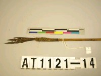 藏品(四鏃竹箭)的圖片